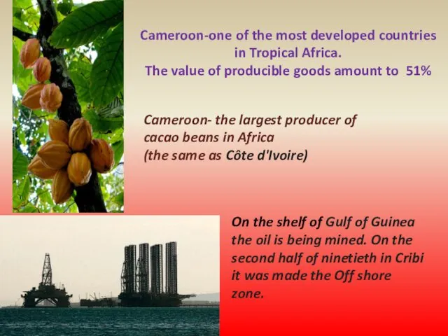 Cameroon- the largest producer of cacao beans in Africa (the same