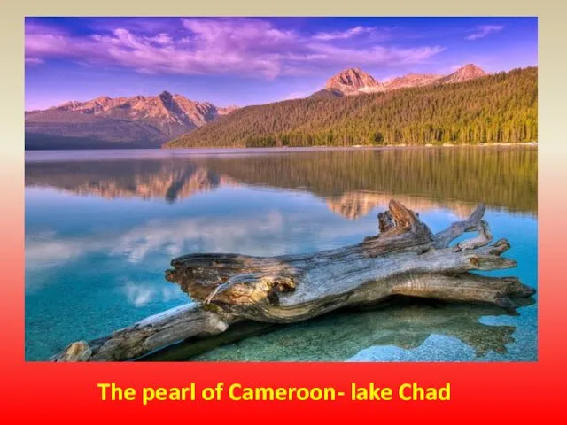 The pearl of Cameroon- lake Chad