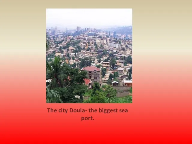 The city Doula- the biggest sea port.