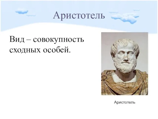 Аристотель Вид – совокупность сходных особей. Аристотель