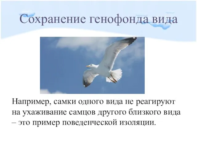 Сохранение генофонда вида Например, самки одного вида не реагируют на ухаживание