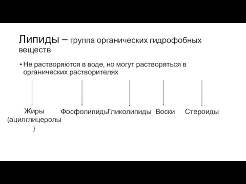 Липиды – группа органических гидрофобных веществ Не растворяются в воде, но