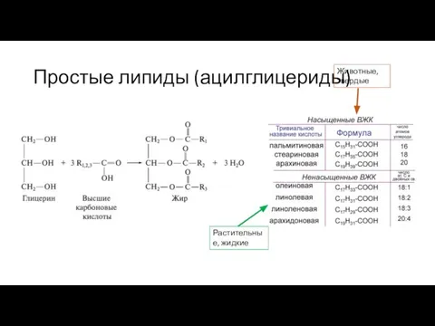 Простые липиды (ацилглицериды) Растительные, жидкие Животные, твердые