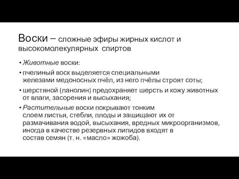 Воски – сложные эфиры жирных кислот и высокомолекулярных спиртов Животные воски: