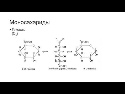 Моносахариды Гексозы (С6)
