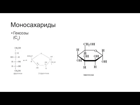 Моносахариды Гексозы (С6) манноза