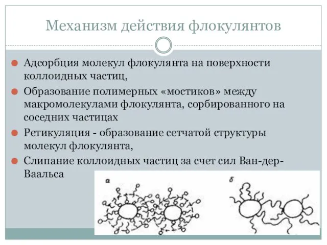 Механизм действия флокулянтов Адсорбция молекул флокулянта на поверхности коллоидных частиц, Образование