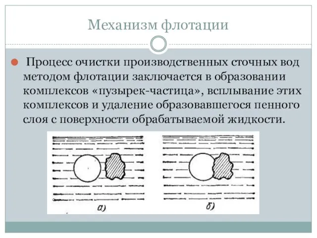 Механизм флотации Процесс очистки производственных сточных вод методом флотации заключается в