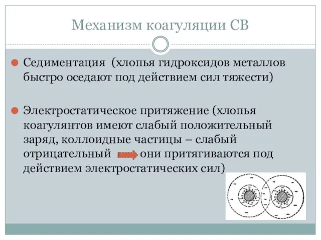 Механизм коагуляции СВ Седиментация (хлопья гидроксидов металлов быстро оседают под действием