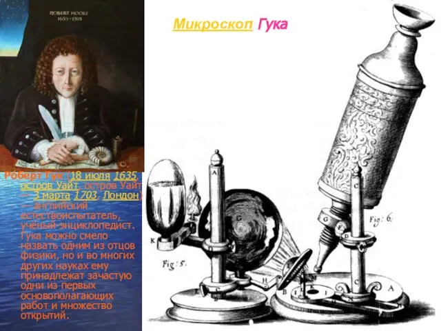 Микроскоп Гука Ро́берт Гук (18 июля 1635, остров Уайт, остров Уайт