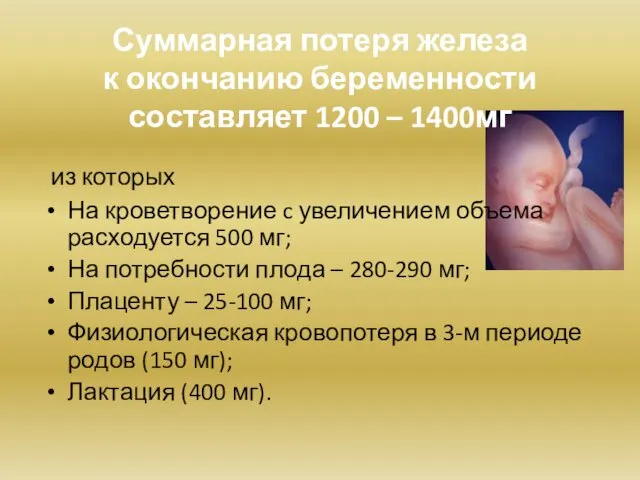 Суммарная потеря железа к окончанию беременности составляет 1200 – 1400мг из