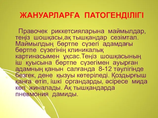 ЖАНУАРЛАРҒА ПАТОГЕНДІЛІГІ Правочек риккетсияларына маймылдар,теңіз шошқасы,ақ тышқандар сезімтал.Маймылдың бөртпе сүзегі адамдағы