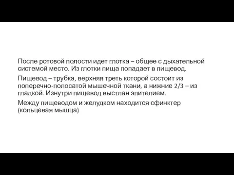 После ротовой полости идет глотка – общее с дыхательной системой место.