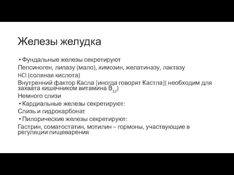 Железы желудка Фундальные железы секретируют Пепсиноген, липазу (мало), химозин, желатиназу, лактазу