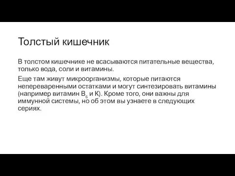 Толстый кишечник В толстом кишечнике не всасываются питательные вещества, только вода,