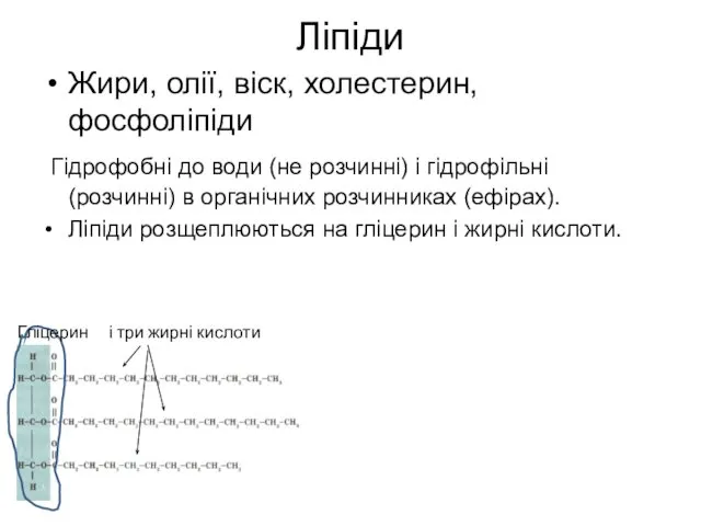 Ліпіди Жири, олії, віск, холестерин, фосфоліпіди Гідрофобні до води (не розчинні)