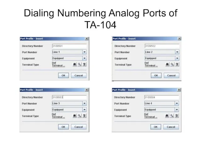 Dialing Numbering Analog Ports of TA-104