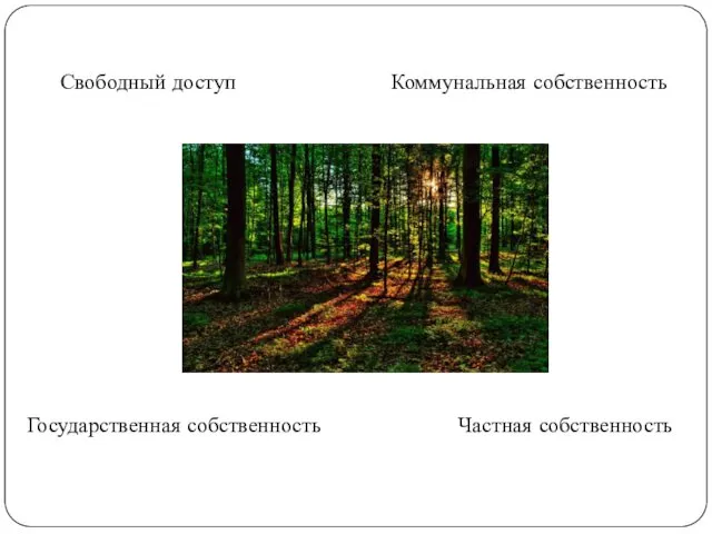 Свободный доступ Коммунальная собственность Государственная собственность Частная собственность