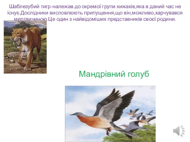 Шаблезубий тигр-належав до окремої групи хижаків,яка в даний час не існує.Дослідники