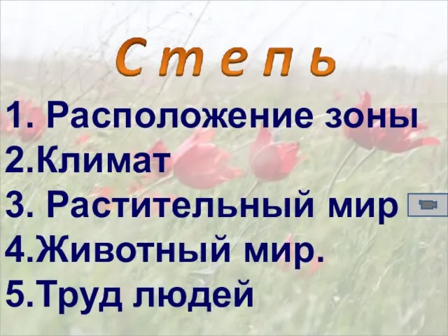 1. Расположение зоны 2.Климат 3. Растительный мир 4.Животный мир. 5.Труд людей