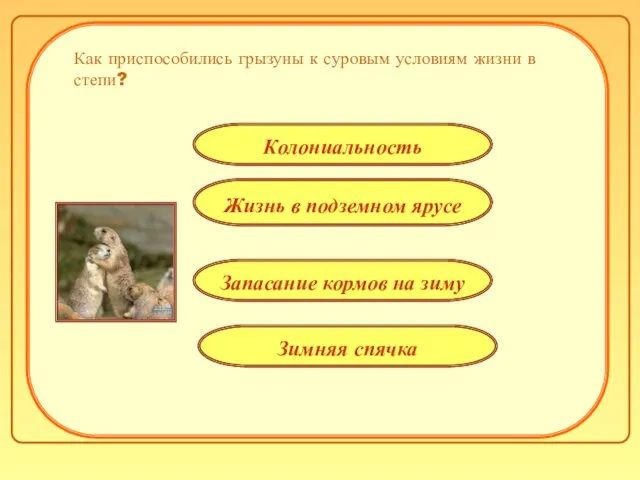 Как приспособились грызуны к суровым условиям жизни в степи? Жизнь в