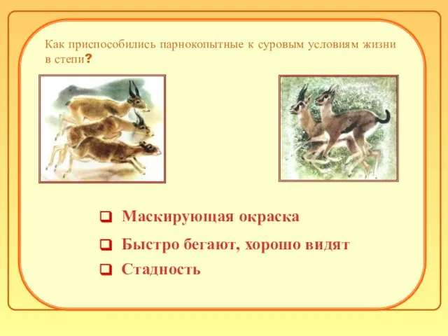 Как приспособились парнокопытные к суровым условиям жизни в степи? Стадность Маскирующая окраска Быстро бегают, хорошо видят