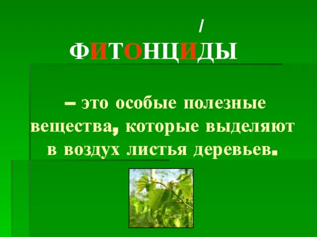 ФИТОНЦИДЫ – это особые полезные вещества, которые выделяют в воздух листья деревьев. /