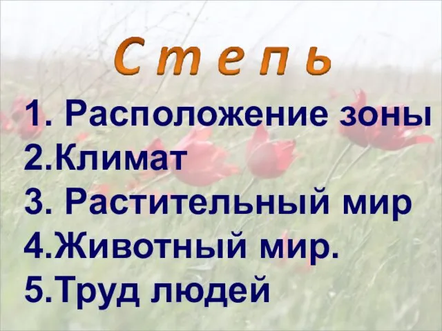 1. Расположение зоны 2.Климат 3. Растительный мир 4.Животный мир. 5.Труд людей