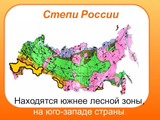 Степи России Находятся южнее лесной зоны, на юго-западе страны.