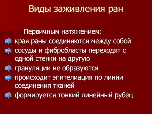 Виды заживления ран Первичным натяжением: края раны соединяются между собой сосуды