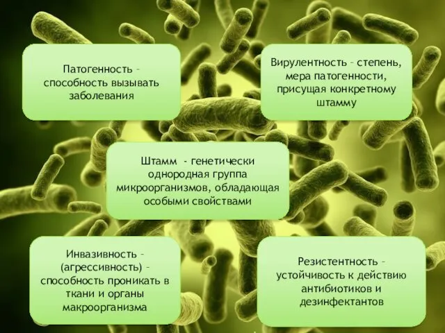 Штамм - генетически однородная группа микроорганизмов, обладающая особыми свойствами Резистентность –