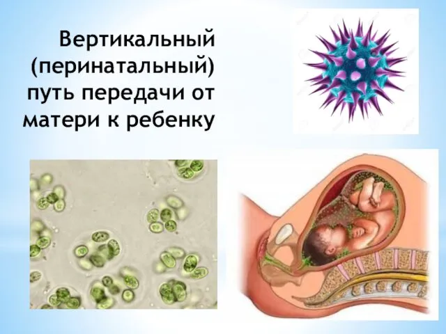 Вертикальный (перинатальный) путь передачи от матери к ребенку