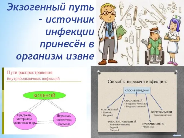 Экзогенный путь – источник инфекции принесён в организм извне