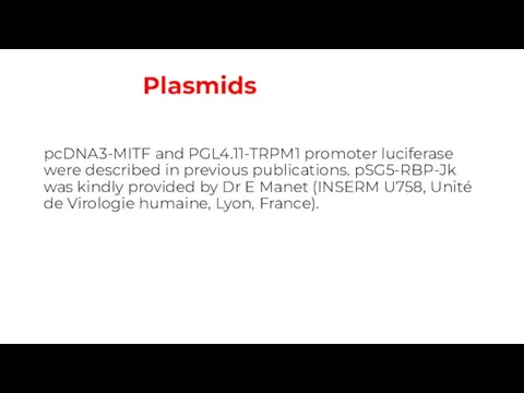 Plasmids pcDNA3‐MITF and PGL4.11‐TRPM1 promoter luciferase were described in previous publications.