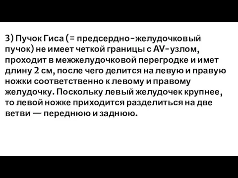 3) Пучок Гиса (= предсердно-желудочковый пучок) не имеет четкой границы с