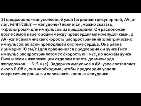 2) предсердно-желудочковый узел (атриовентрикулярный, AV; от лат. ventriculus — желудочек) является,