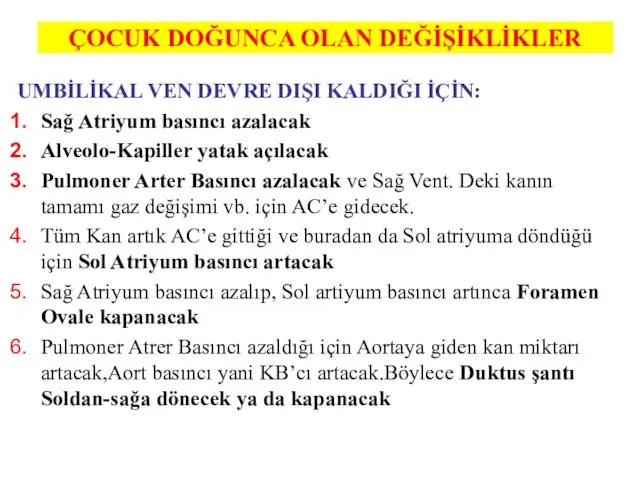 ÇOCUK DOĞUNCA OLAN DEĞİŞİKLİKLER UMBİLİKAL VEN DEVRE DIŞI KALDIĞI İÇİN: Sağ