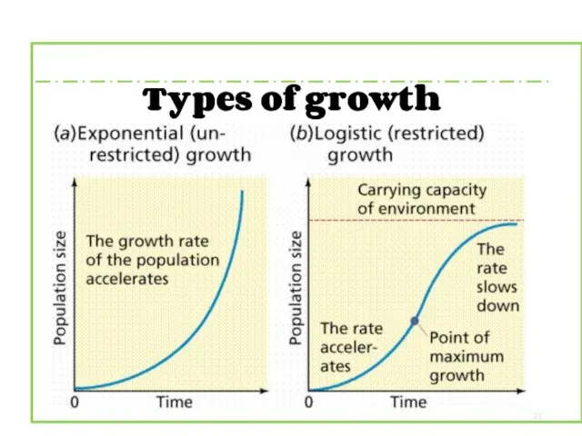 Types of growth