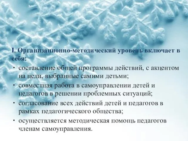 I. Организационно-методический уровень включает в себя: составление общей программы действий, с