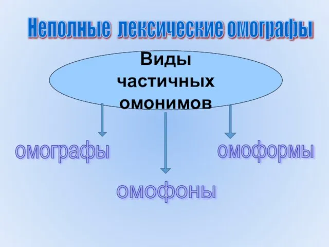 Виды частичных омонимов омографы омофоны омоформы Неполные лексические омографы