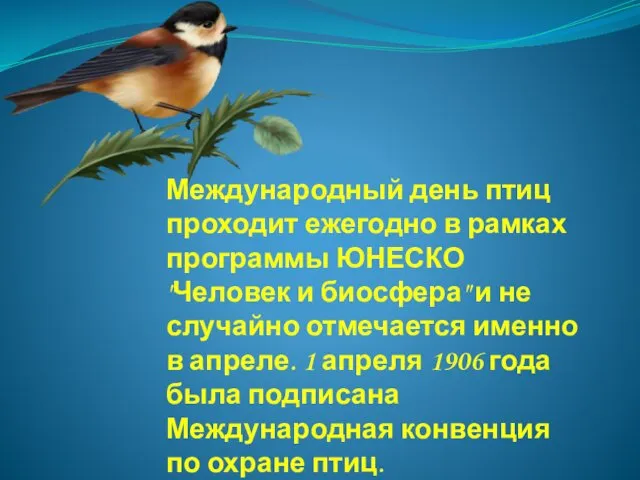 Международный день птиц проходит ежегодно в рамках программы ЮНЕСКО "Человек и