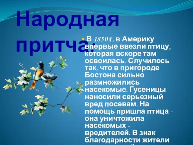 Народная притча: В 1850 г. в Америку впервые ввезли птицу, которая