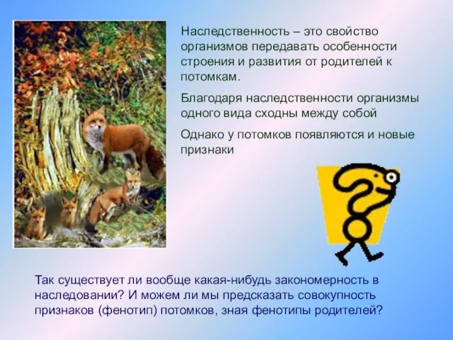 Наследственность – это свойство организмов передавать особенности строения и развития от