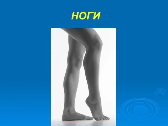 НОГИ