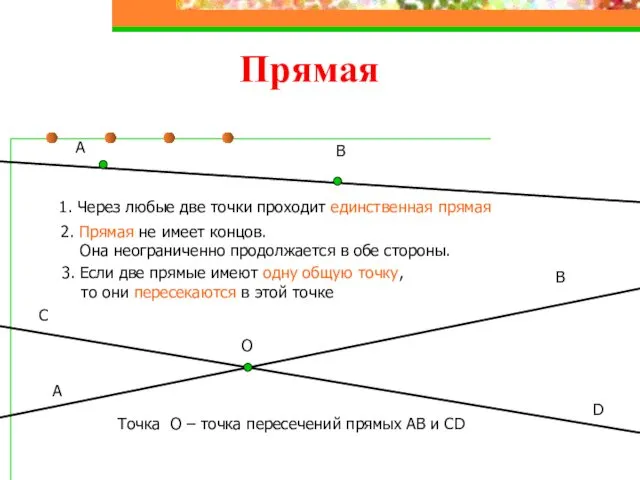 Прямая А В 1. Через любые две точки проходит единственная прямая