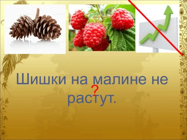 Шишки на малине не растут. ?