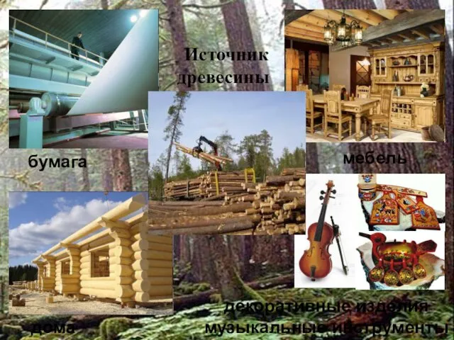 Источник древесины дома бумага мебель декоративные изделия музыкальные инструменты