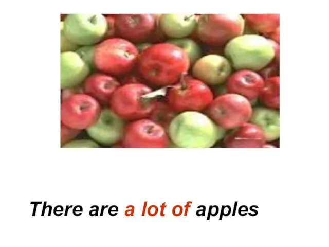 There are a lot of apples