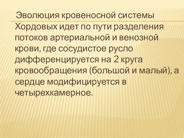 Эволюция кровеносной системы Хордовых идет по пути разделения потоков артериальной и