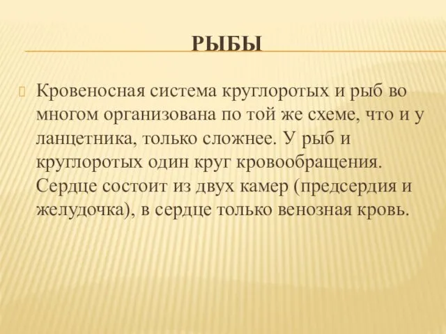 РЫБЫ Кровеносная система круглоротых и рыб во многом организована по той